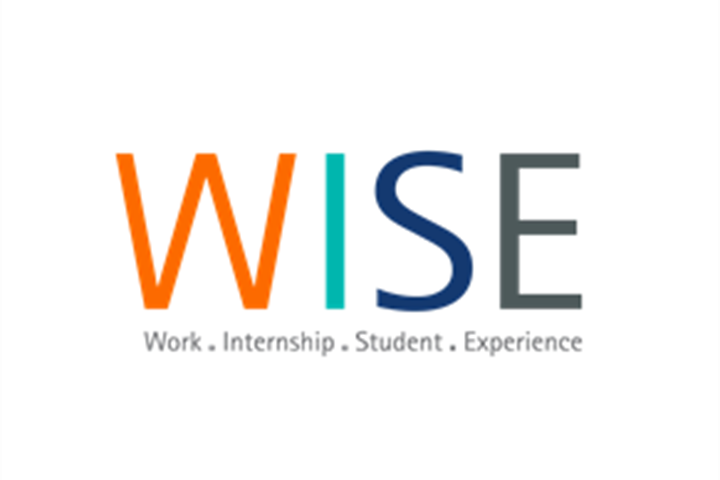WISE Logo 2020