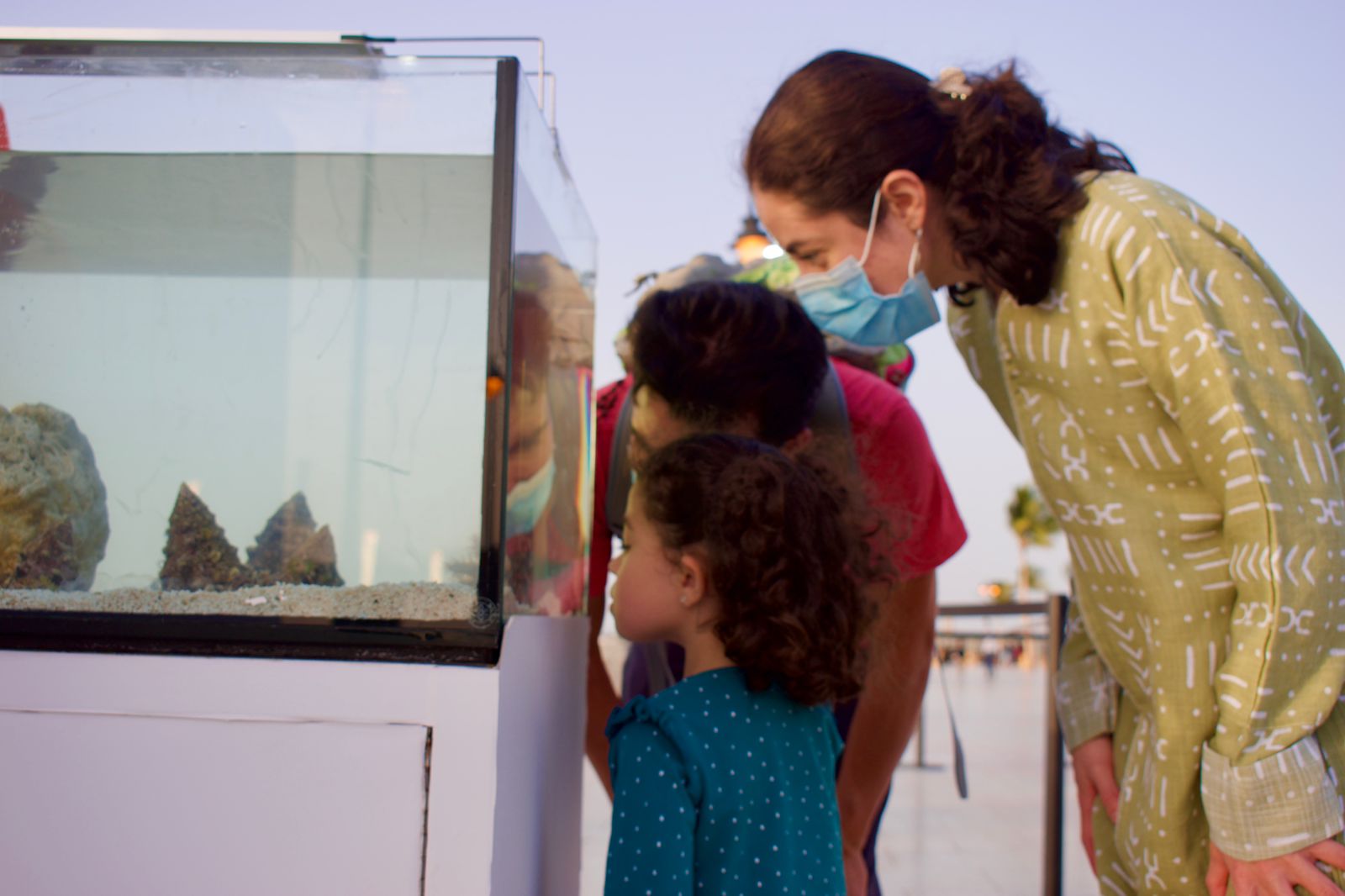 PHOTO-2022-01-22-15-59-21[1]