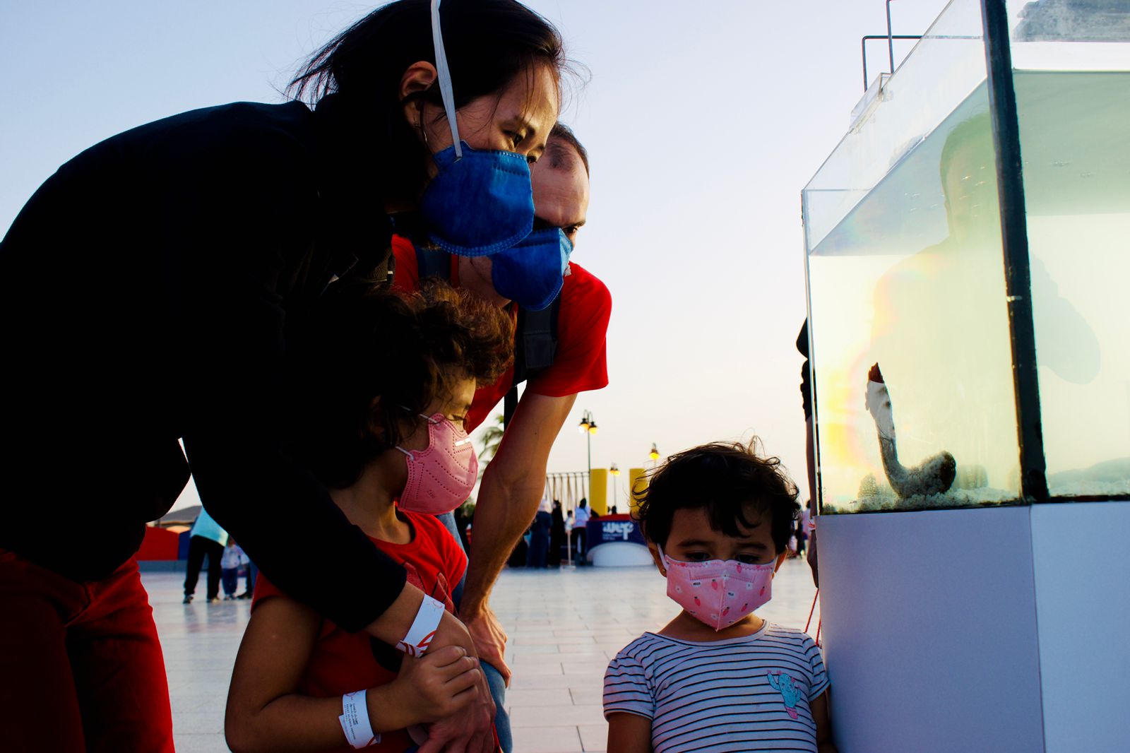 PHOTO-2022-01-22-15-59-23[2]