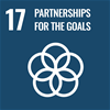 UN Sustainable Development Goal #17